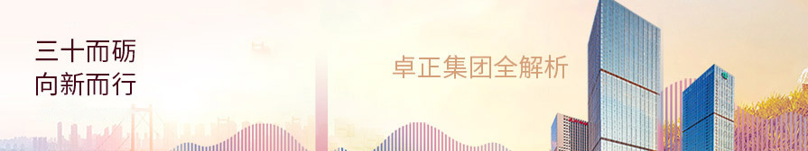 老熟女的双穴被操烂
